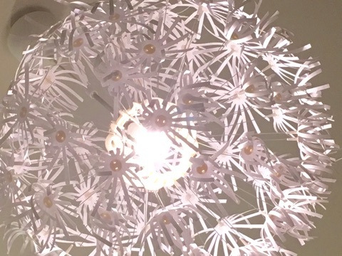 {18FC6CF1-3026-41BA-A56C-B31A4CC4D4CB}