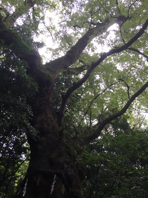 {1EAA75E6-CF10-49A8-8E1A-D3AD5947D397}