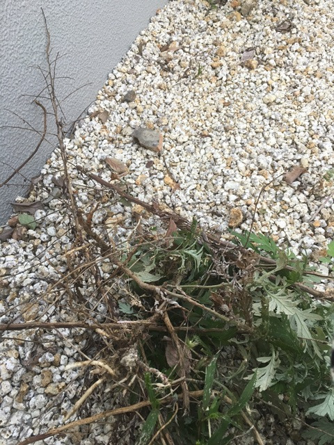 {A1CD4F44-DF91-49D4-8776-3BB862B384D0}